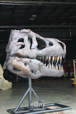 Tyrannosaurus T-Rex Skull GIANT BRONZE ART Fossil Model Dinosaur LIFE SIZE