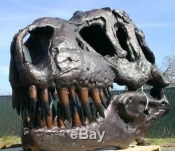 Tyrannosaurus T-Rex Skull GIANT BRONZE ART Fossil Model Dinosaur LIFE SIZE SPECI