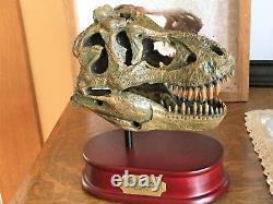 Tyrannosaurus T-rex Skull Huge Large Model Tooth Dinosaur Replica Bone Big 1/10