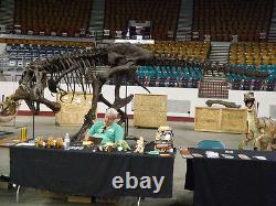 Tyrannosaurus rex T. Rex Dinosaur Cast Skeleton Posed to Suit Your Needs