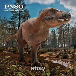 Tyrannosaurus rex T-rex Cameron Theropod Dinosaur Prehistoric Model PNSO