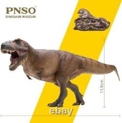 Tyrannosaurus rex T-rex Cameron Theropod Dinosaur Prehistoric Model PNSO