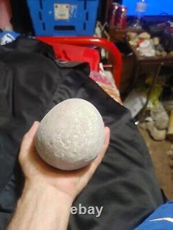 Tyrannosaurus rex egg, Petrified Egg fossil, T-rex, Dinosaur, Prehistoric