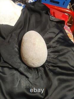 Tyrannosaurus rex egg, Petrified Egg fossil, T-rex, Dinosaur, Prehistoric