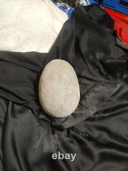 Tyrannosaurus rex egg, Petrified Egg fossil, T-rex, Dinosaur, Prehistoric