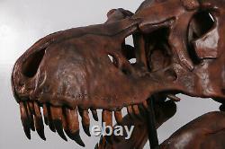 Tyrannosaurus skull (cast)T REX, Dinosaur fossil model s