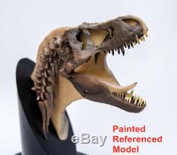 Unpainted 1/20 Tyrannosaurus T Rex Head Dissection Model Dinosaur Collector Gift
