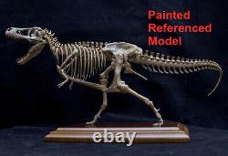 Unpainted 1/35 Tyrannosaurus T-Rex Stan Skeleton Dinosaur Model Collector Gift