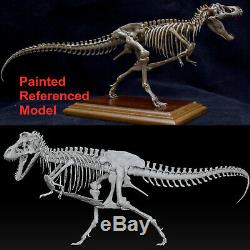 Unpainted 1/35 Tyrannosaurus T Rex Stan Skeleton Model Dinosaur Collector Gift