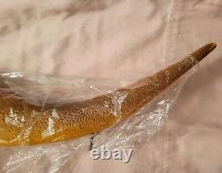 VERY RARE T-Rex Dinosaur by Don Featherstone New 19Tall